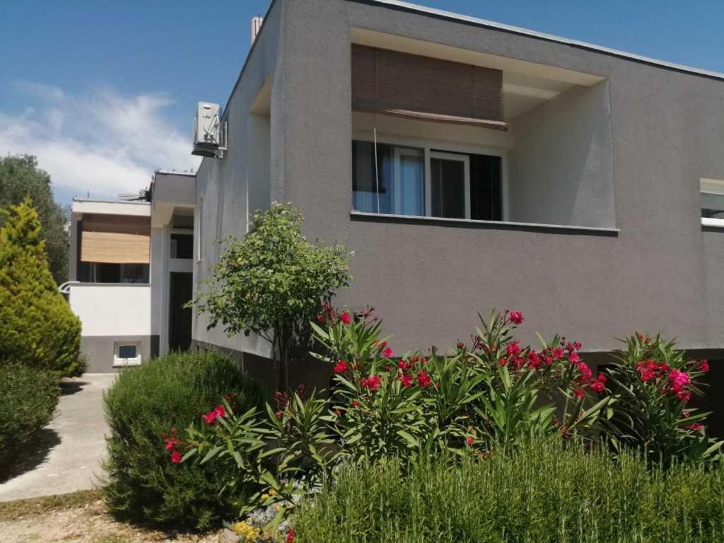Apartments Dora 2 Bibinje Exterior photo